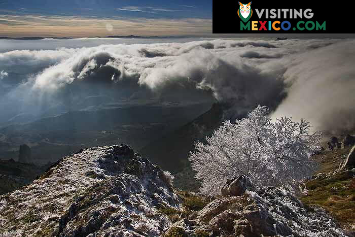 El Cielo Biosphere